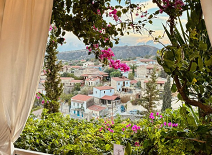 Scenic view of village with blooming flowers